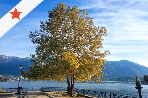 דולב יובל במרחב הציבורי