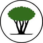 אפשרות לרב גזע