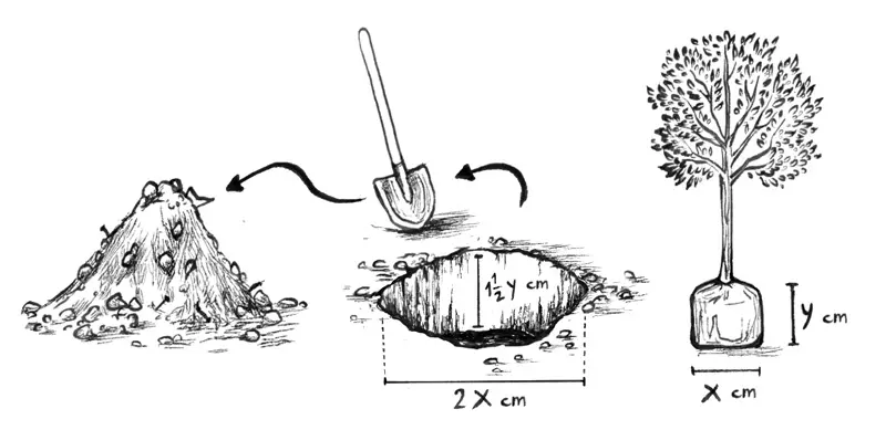 איור הבהרה למלל
