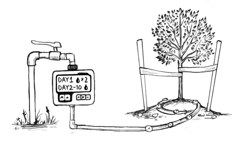 איור המחשה למלל