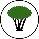 אפשרות לרב גזע