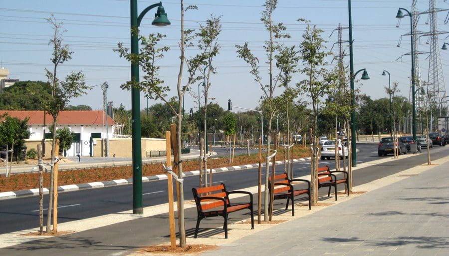 מאמר: מדריך לאיש מקצוע- שתילה והשקיה של עצים